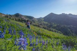 Photo Credit: Paul Nelson